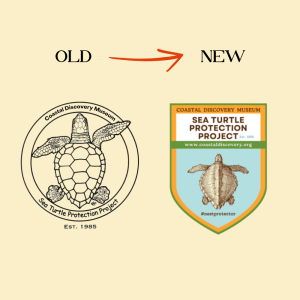 sea turtle protection project museum brand refresh old and new logo